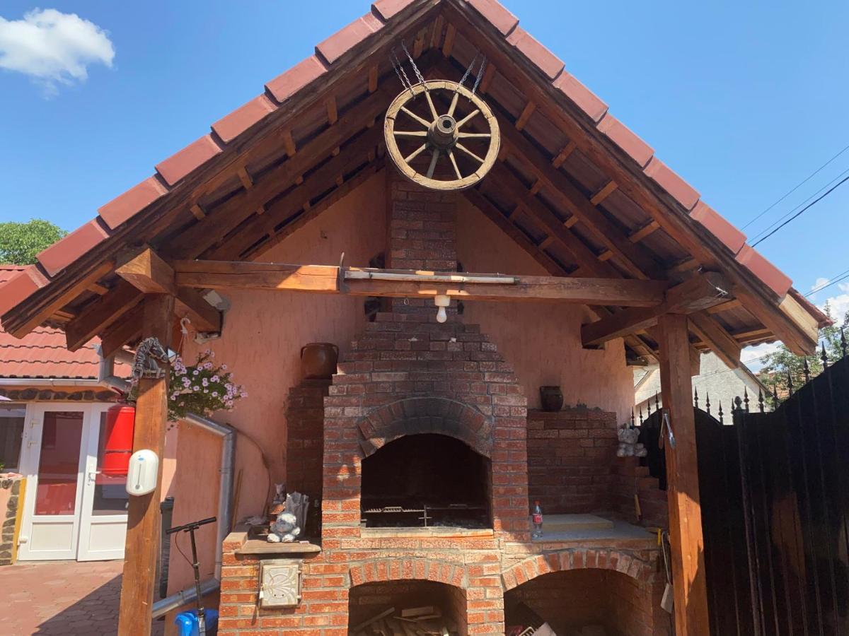 Hotel Casa Blendea Daniela Cîrţişoara Exterior foto