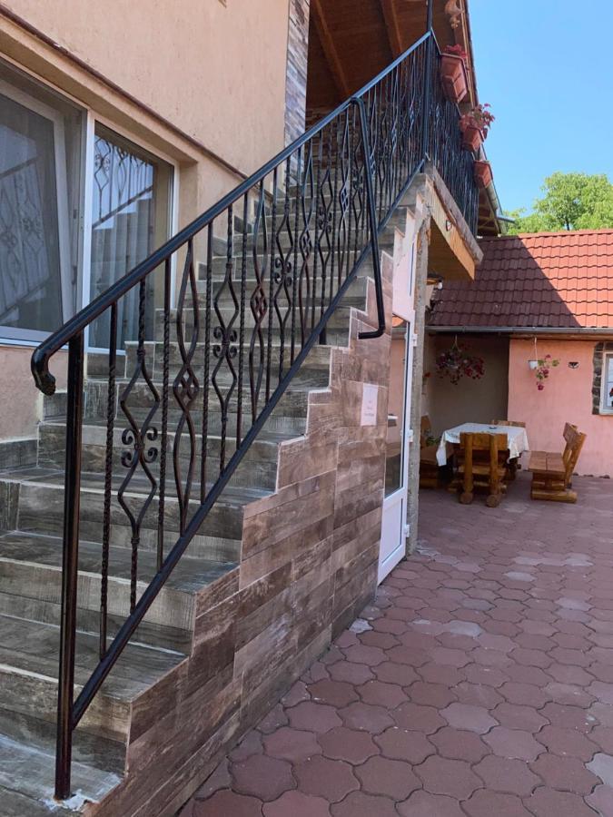 Hotel Casa Blendea Daniela Cîrţişoara Exterior foto